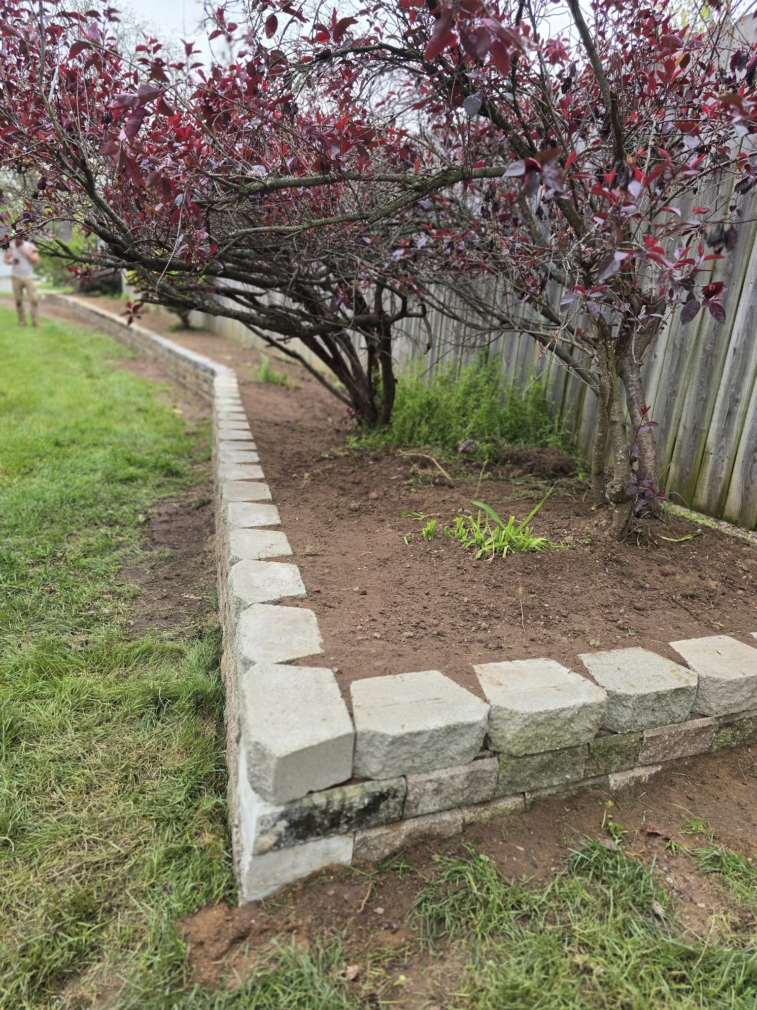 Modern Landscape Design