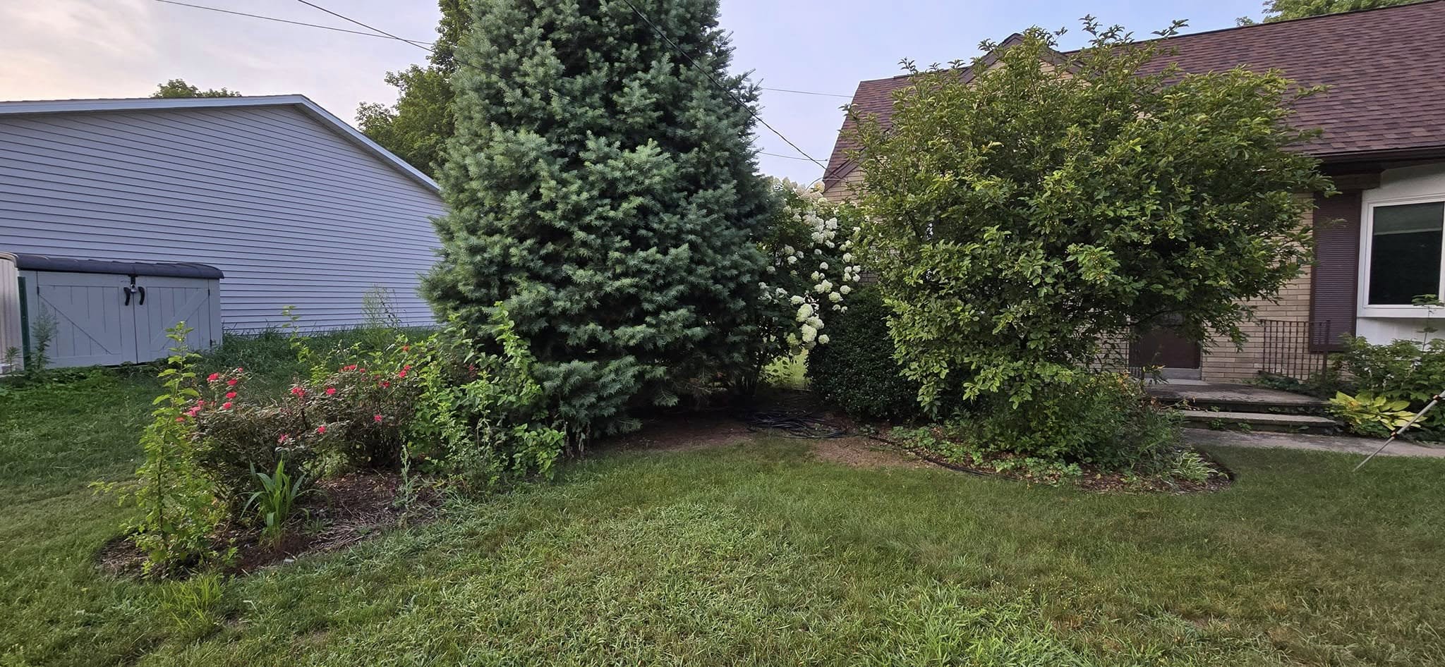 Garden Design Project - Before