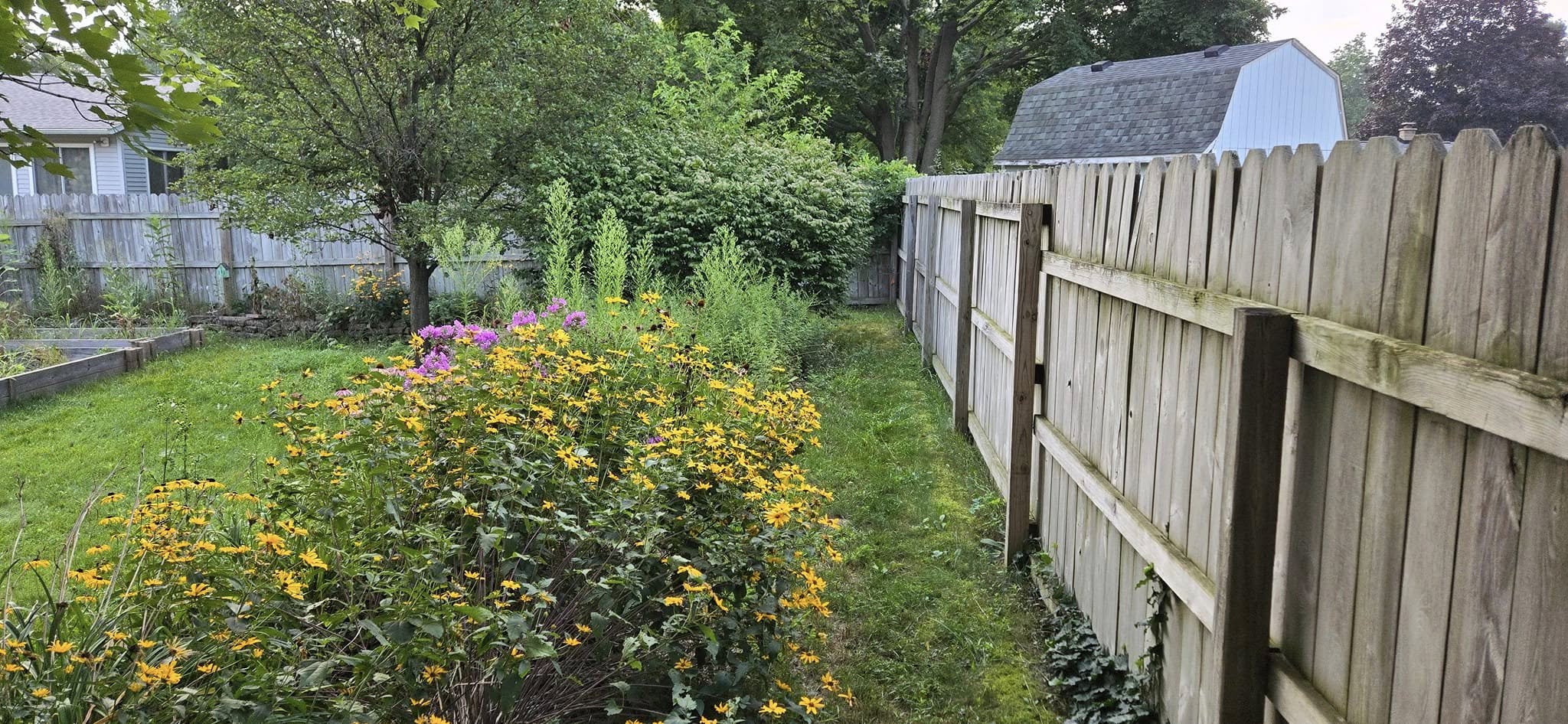 Complete Yard Transformation - Before