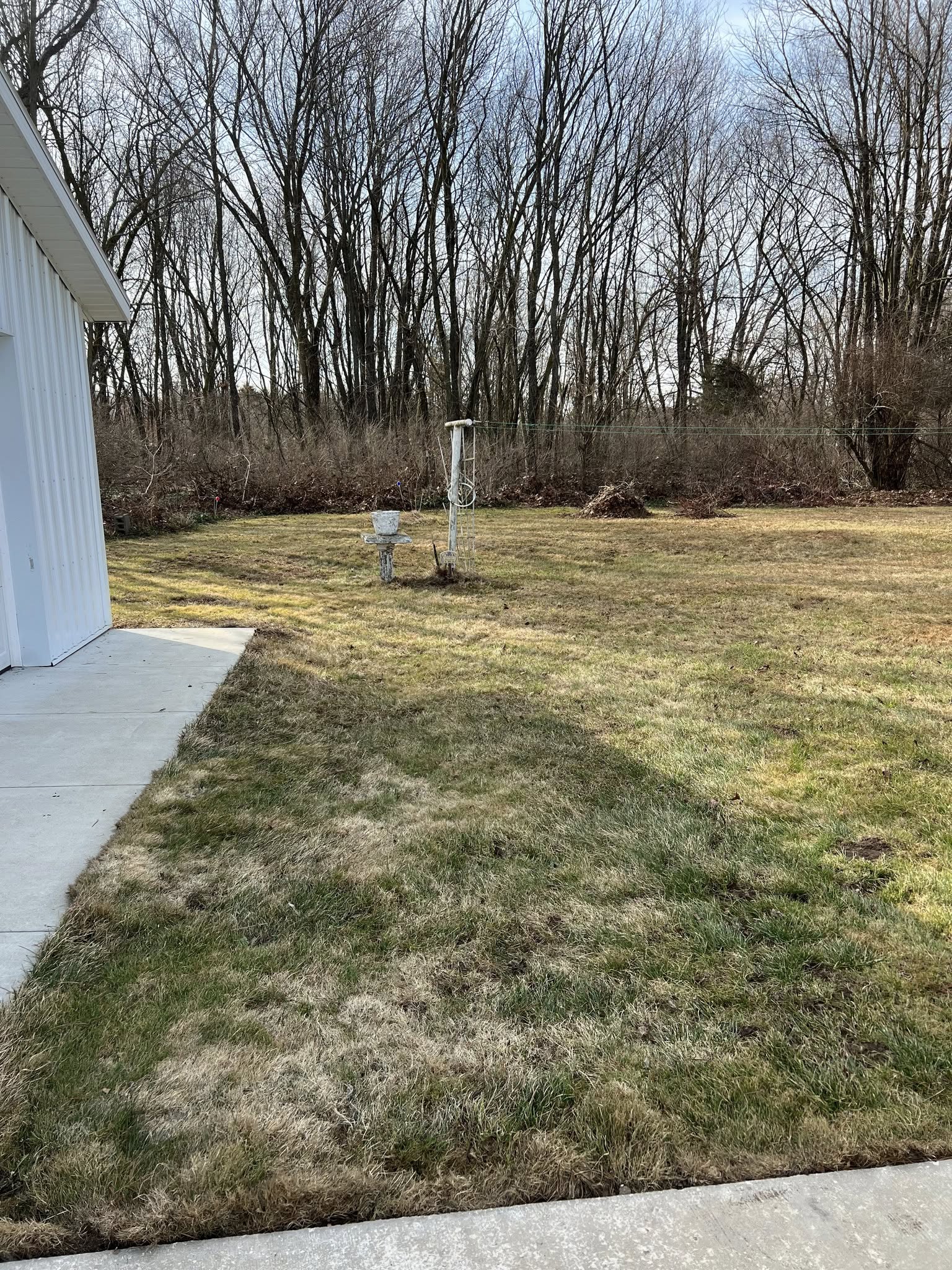 Residential Leaf Removal - After
