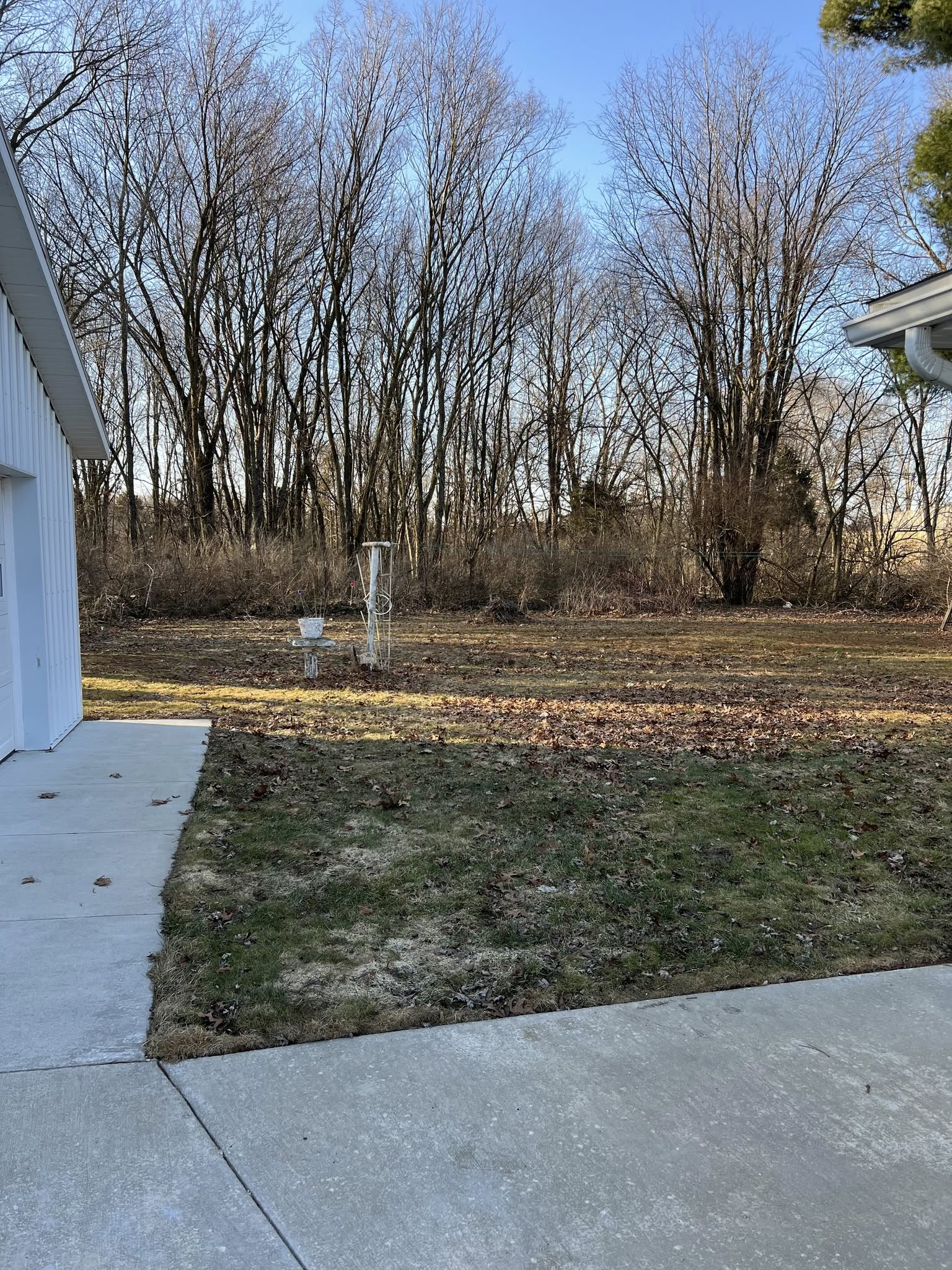 Residential Leaf Removal - Before