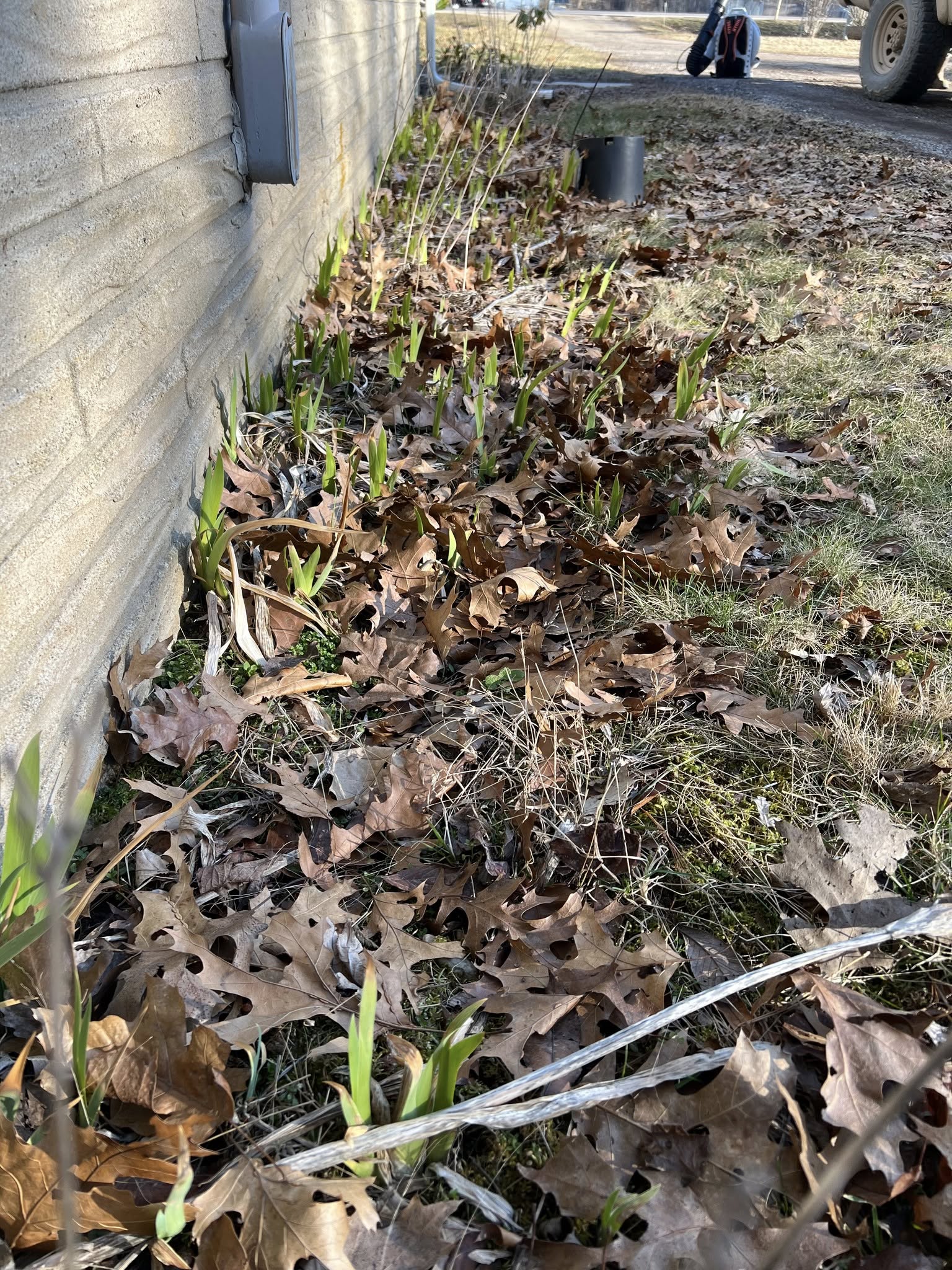 Commercial Property Cleanup - Before