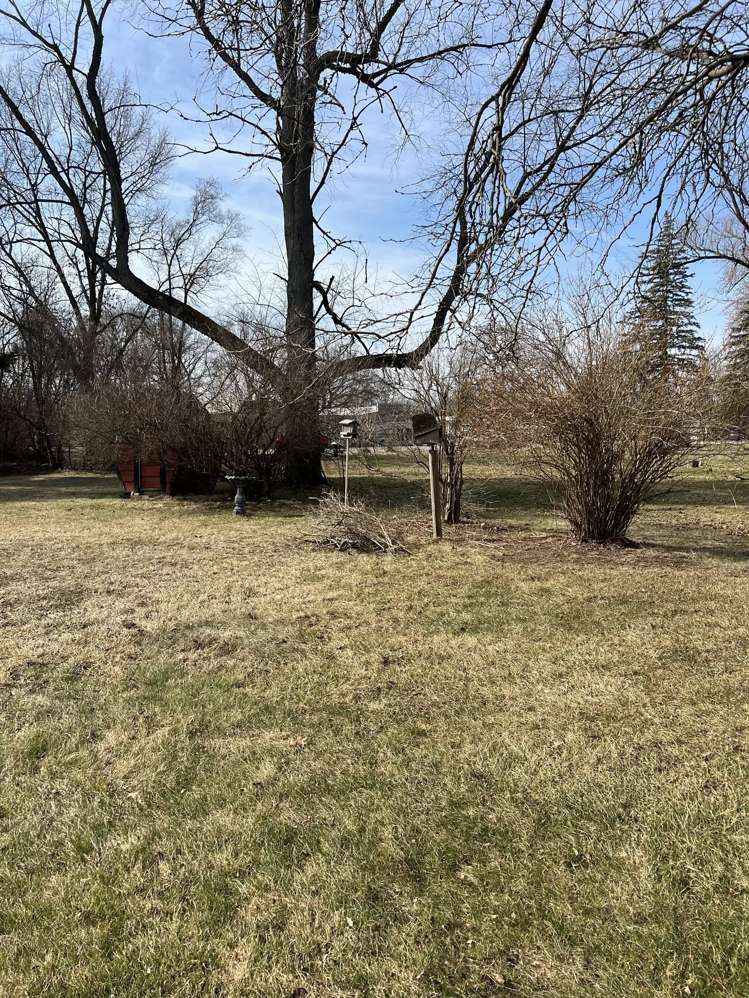 Large Yard Leaf Removal - After
