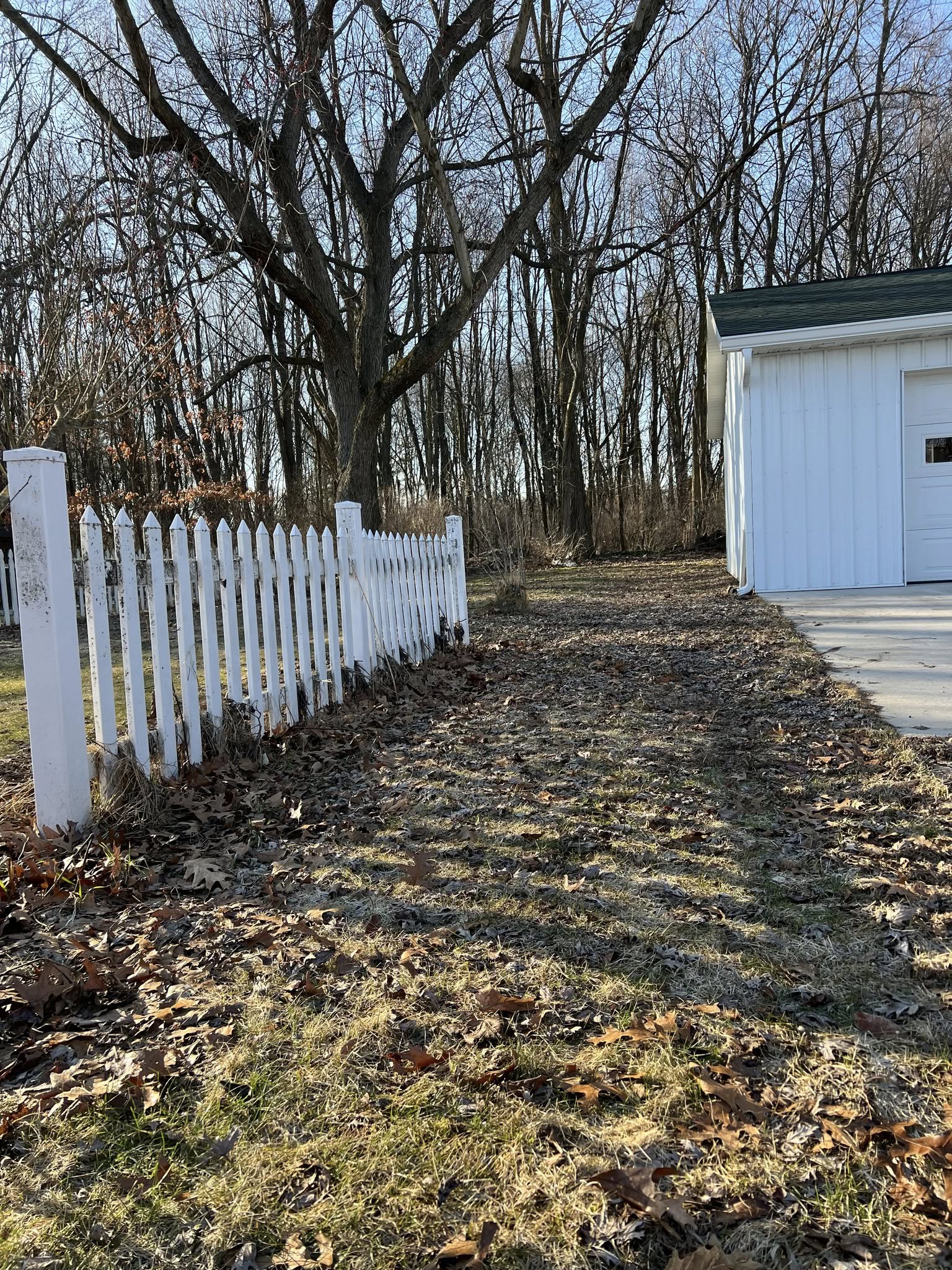 Fall Cleanup Service - Before