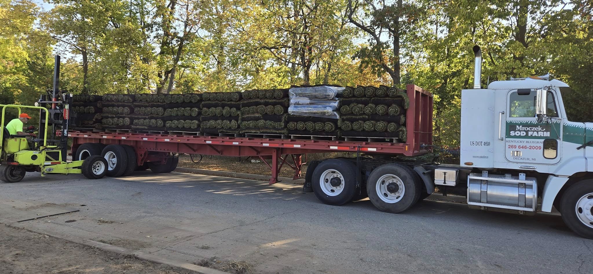 Fresh Sod Installation