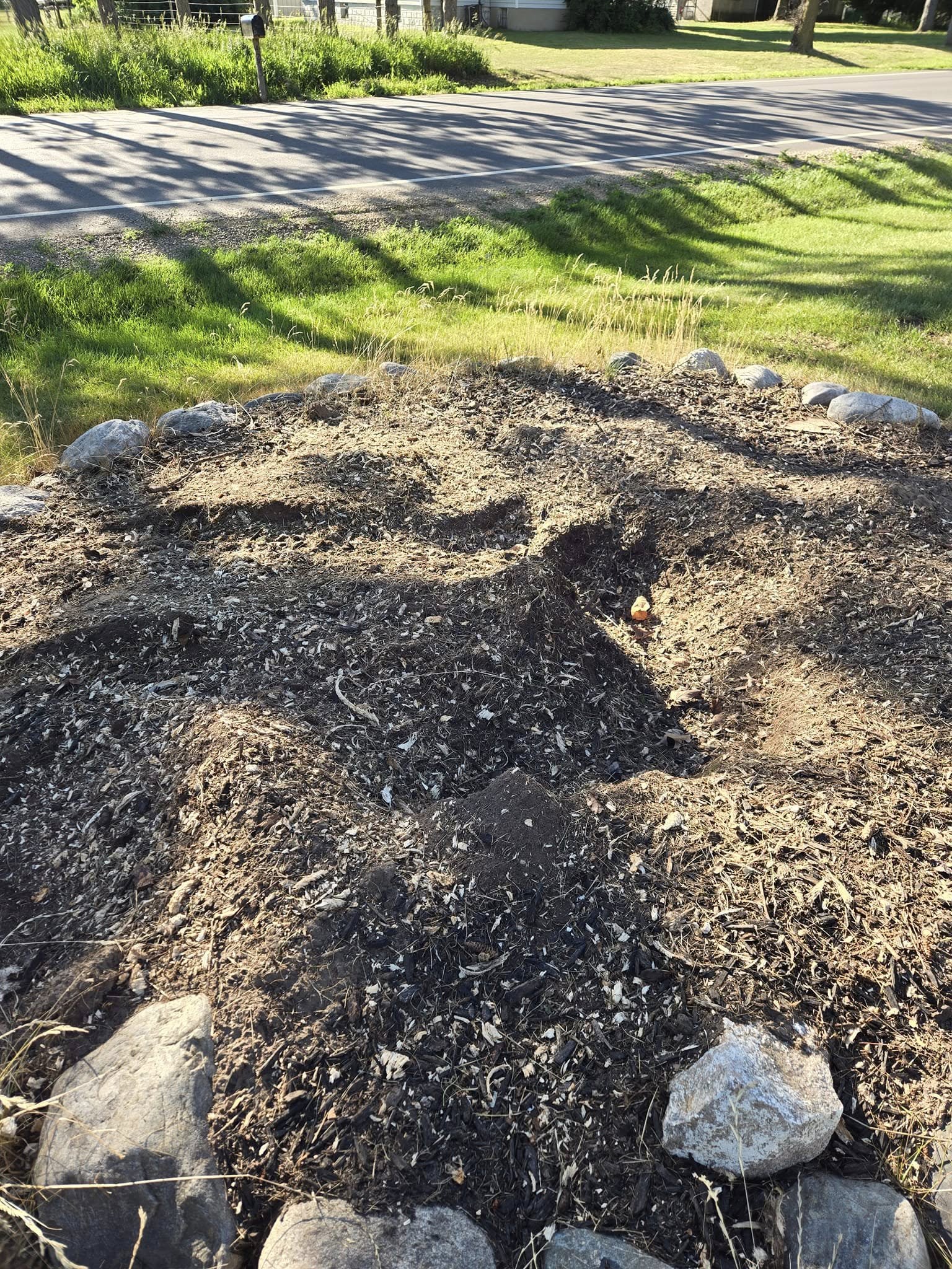 Tree Stump Removal - After